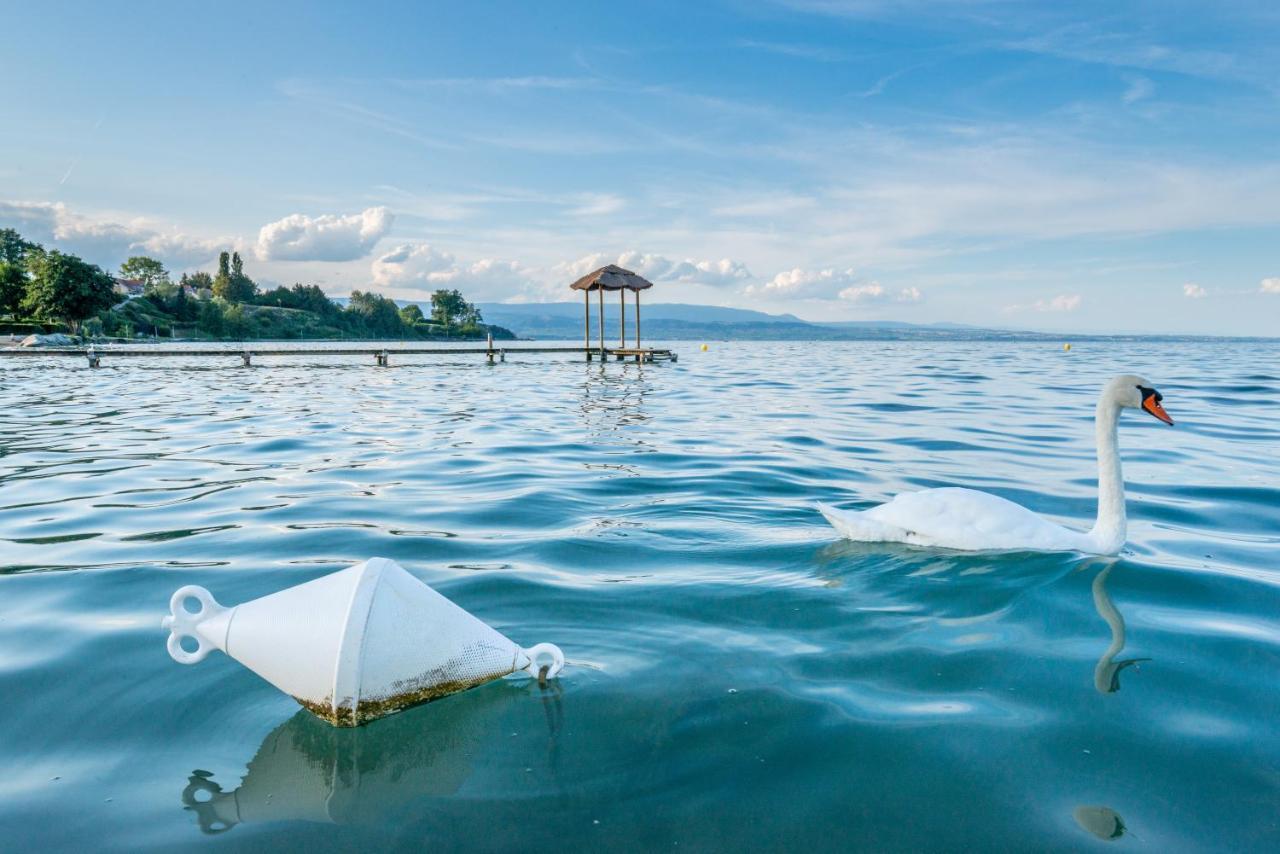 Hotel De La Plage 엑세네벡스 외부 사진